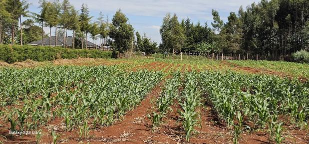 1 Acre Land for Sale in Kapseret Bypass Lobo in Eldoret - thumbnail 4