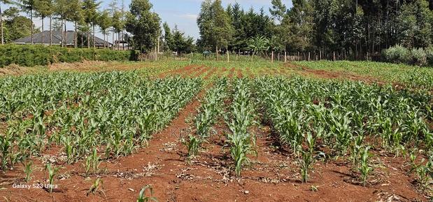 1 Acre Land for Sale in Kapseret Bypass Lobo in Eldoret - thumbnail 6