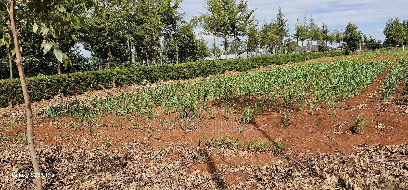1 Acre Land for Sale in Kapseret Bypass Lobo in Eldoret
