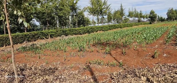 1 Acre Land for Sale in Kapseret Bypass Lobo in Eldoret - thumbnail 7