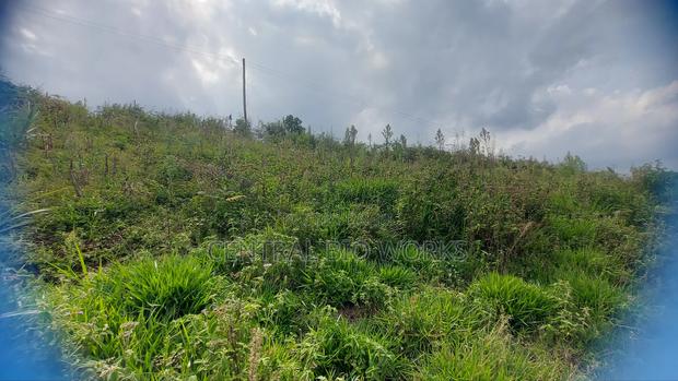 Virgin Land on Quick Sale - thumbnail 5