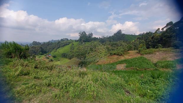 Virgin Land on Quick Sale - thumbnail 6