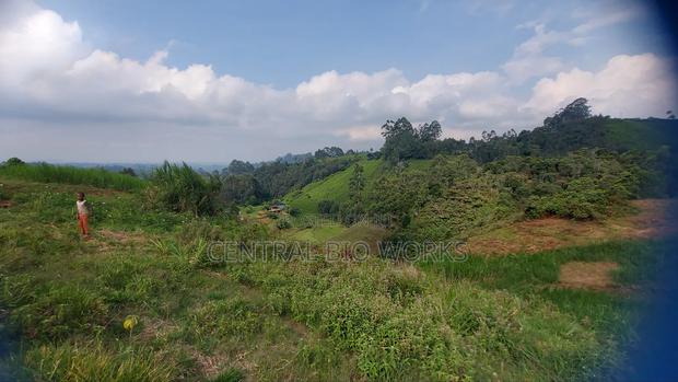 Virgin Land on Quick Sale - thumbnail 7