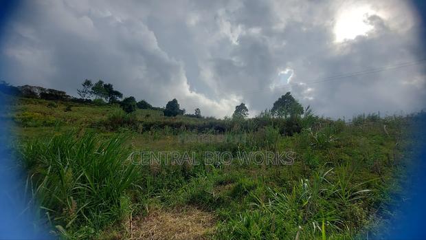 Virgin Land on Quick Sale - thumbnail 9