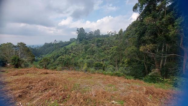 Virgin Land on Quick Sale - thumbnail 3