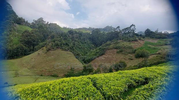 Virgin Land on Quick Sale - thumbnail 2