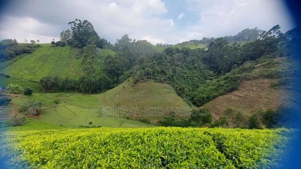 Virgin Land on Quick Sale - main view