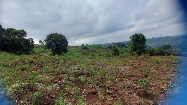 Virgin Land on Quick Sale - thumbnail 11