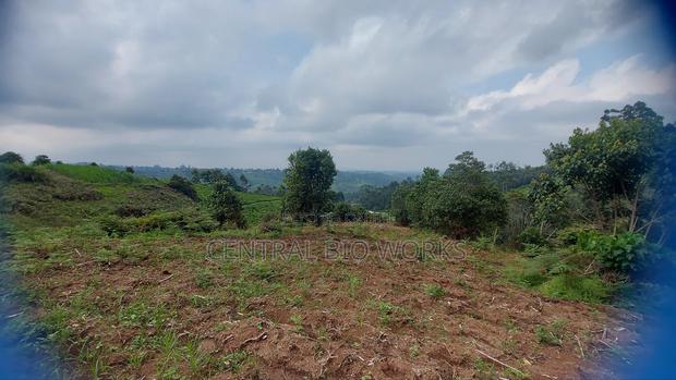 Virgin Land on Quick Sale - thumbnail 12