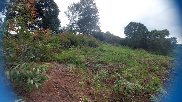 Virgin Land on Quick Sale - thumbnail 4