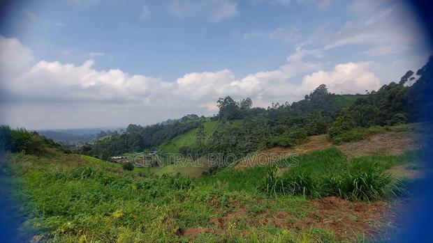 Virgin Land on Quick Sale - thumbnail 13