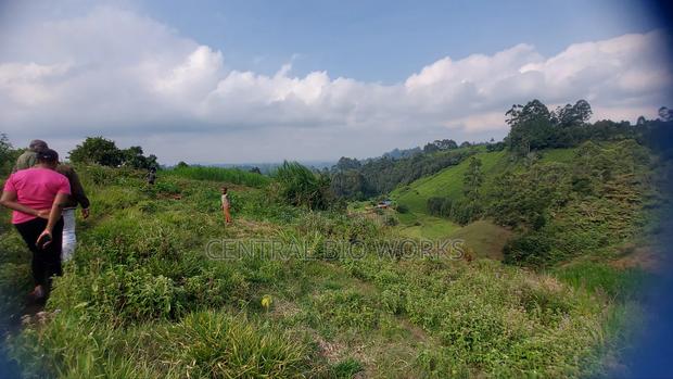 Virgin Land on Quick Sale - thumbnail 14