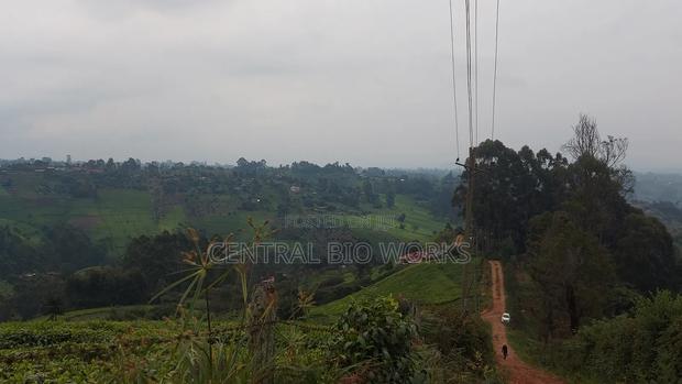 Virgin Land on Quick Sale - thumbnail 15