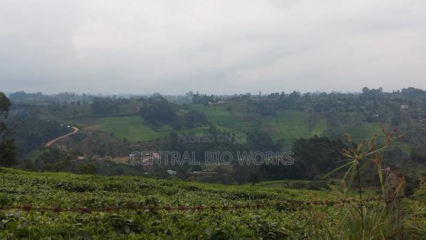 Virgin Land on Quick Sale - thumbnail 16