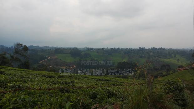 Virgin Land on Quick Sale - thumbnail 17