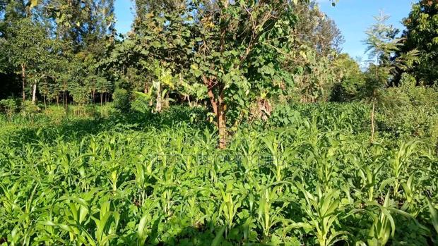 Farmland 2:Acres on Sale