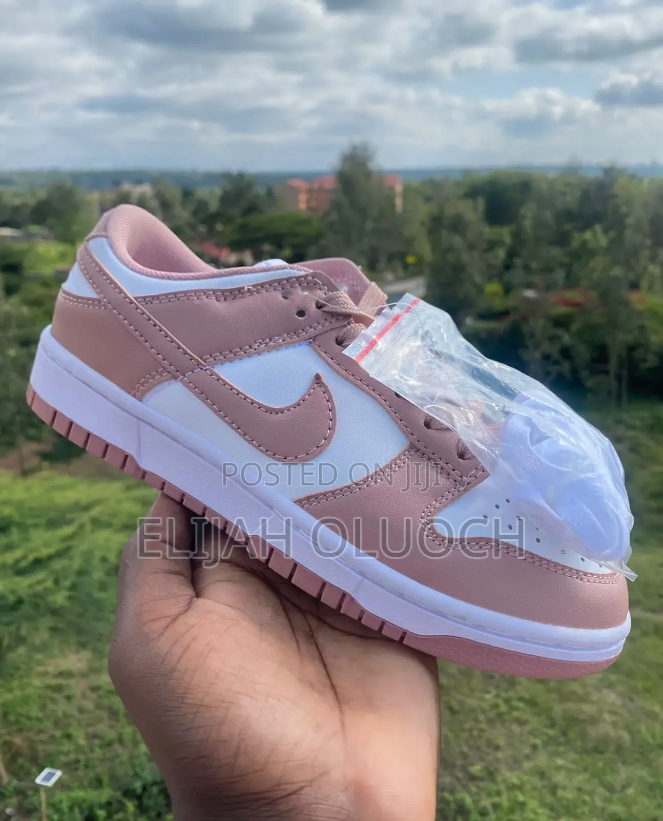 Sb Dunk Rose Whisper