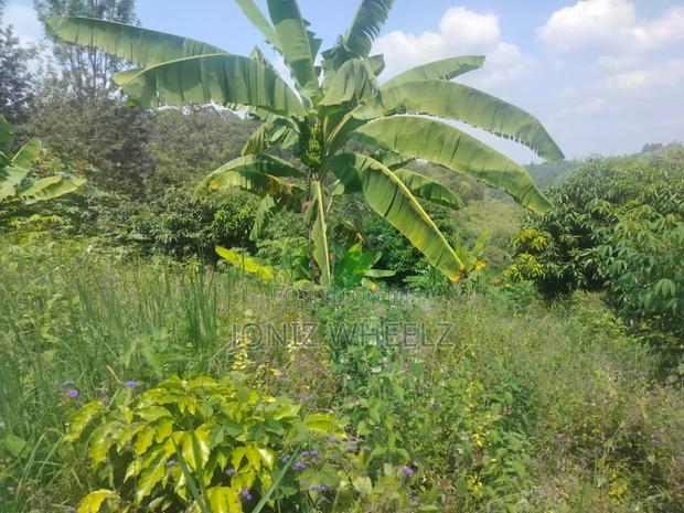 Muranga Kagure Kangwachi 2acre - main view