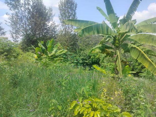 Muranga Kagure Kangwachi 2acre - thumbnail 3