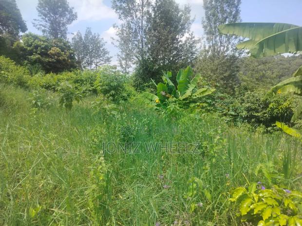 Muranga Kagure Kangwachi 2acre - thumbnail 4