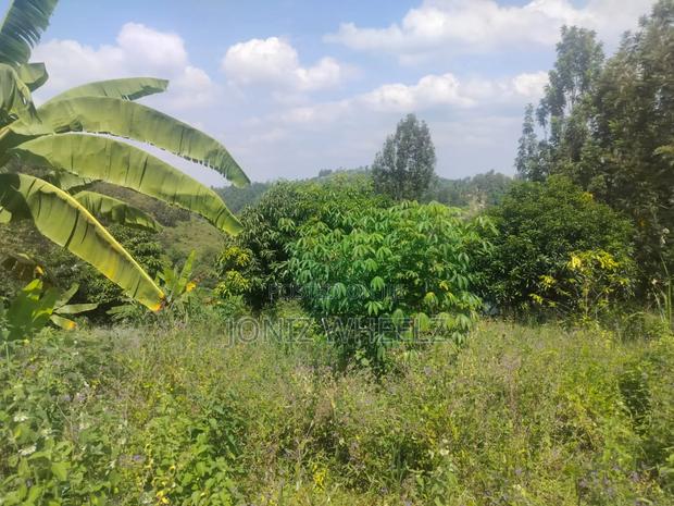 Muranga Kagure Kangwachi 2acre - thumbnail 5