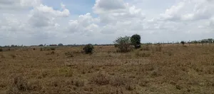 Prime Land for Sale in Katani