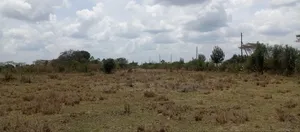 Prime Land for Sale in Katani