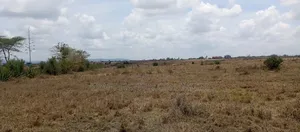 Prime Land for Sale in Katani