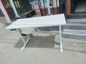 Electric Standing Desk