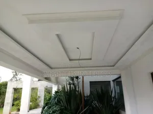 Awesome Gypsum Ceilings Ideas/Design and Installation