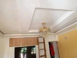 Awesome Gypsum Ceilings Ideas/Design and Installation