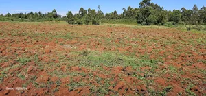 5 and 10 Acres for Sale in Kapseret Mlango Eldoret