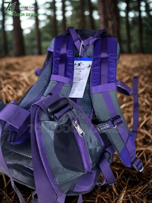35l Hiking Bag Backpack (Purple)