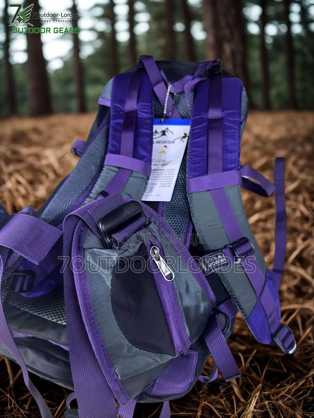 35l Hiking Bag Backpack (Purple) - thumbnail 2