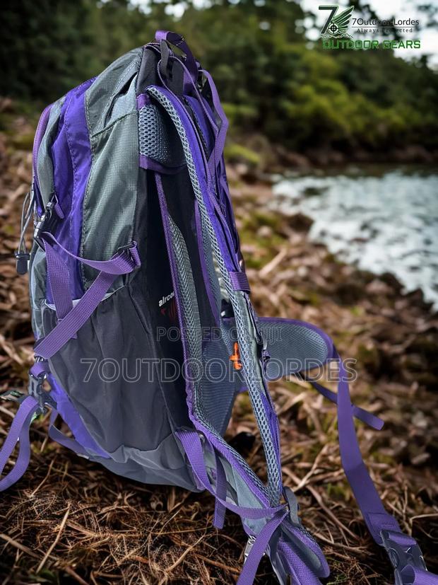 35l Hiking Bag Backpack (Purple) - thumbnail 5