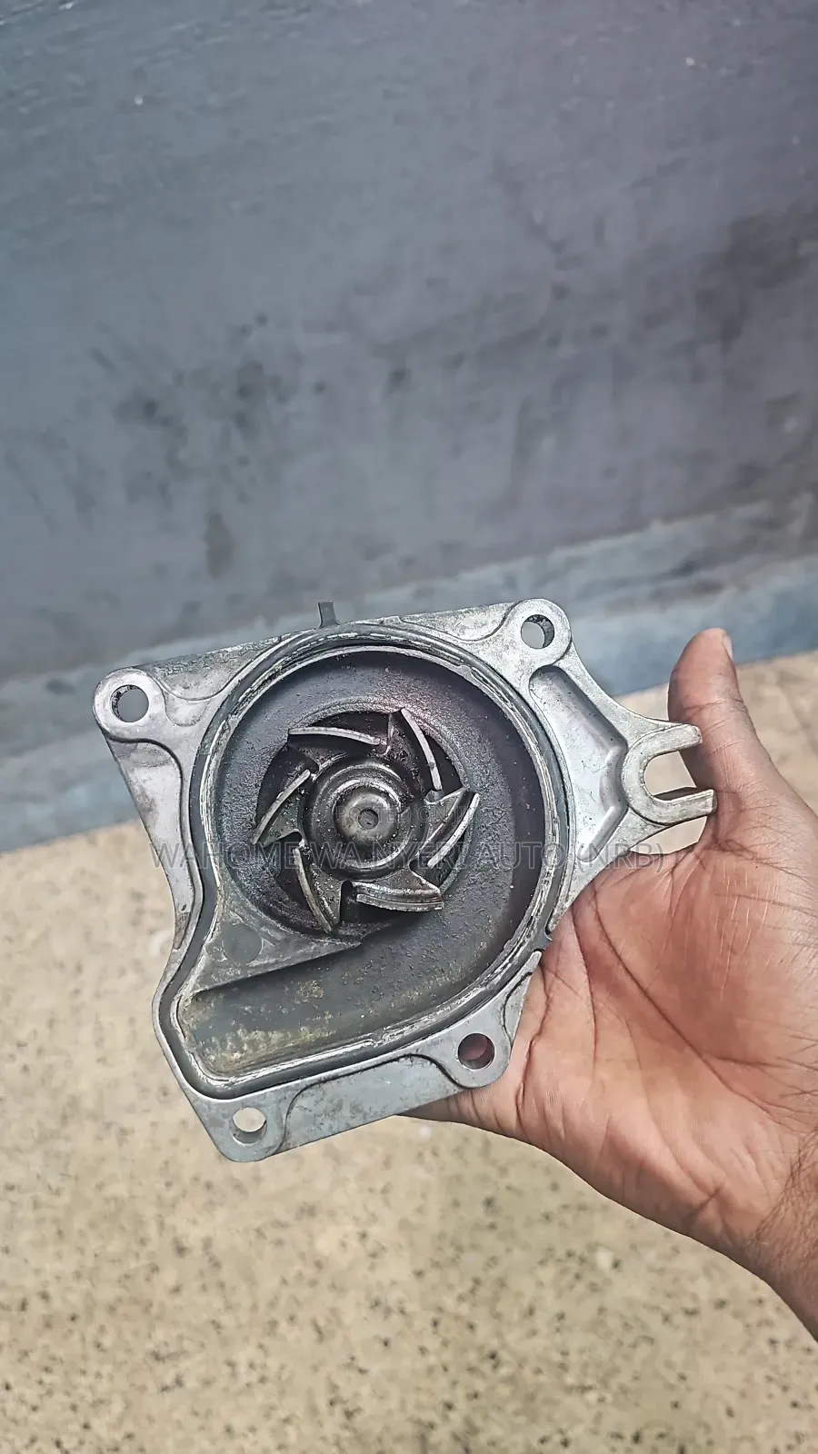 Water Pump Zj