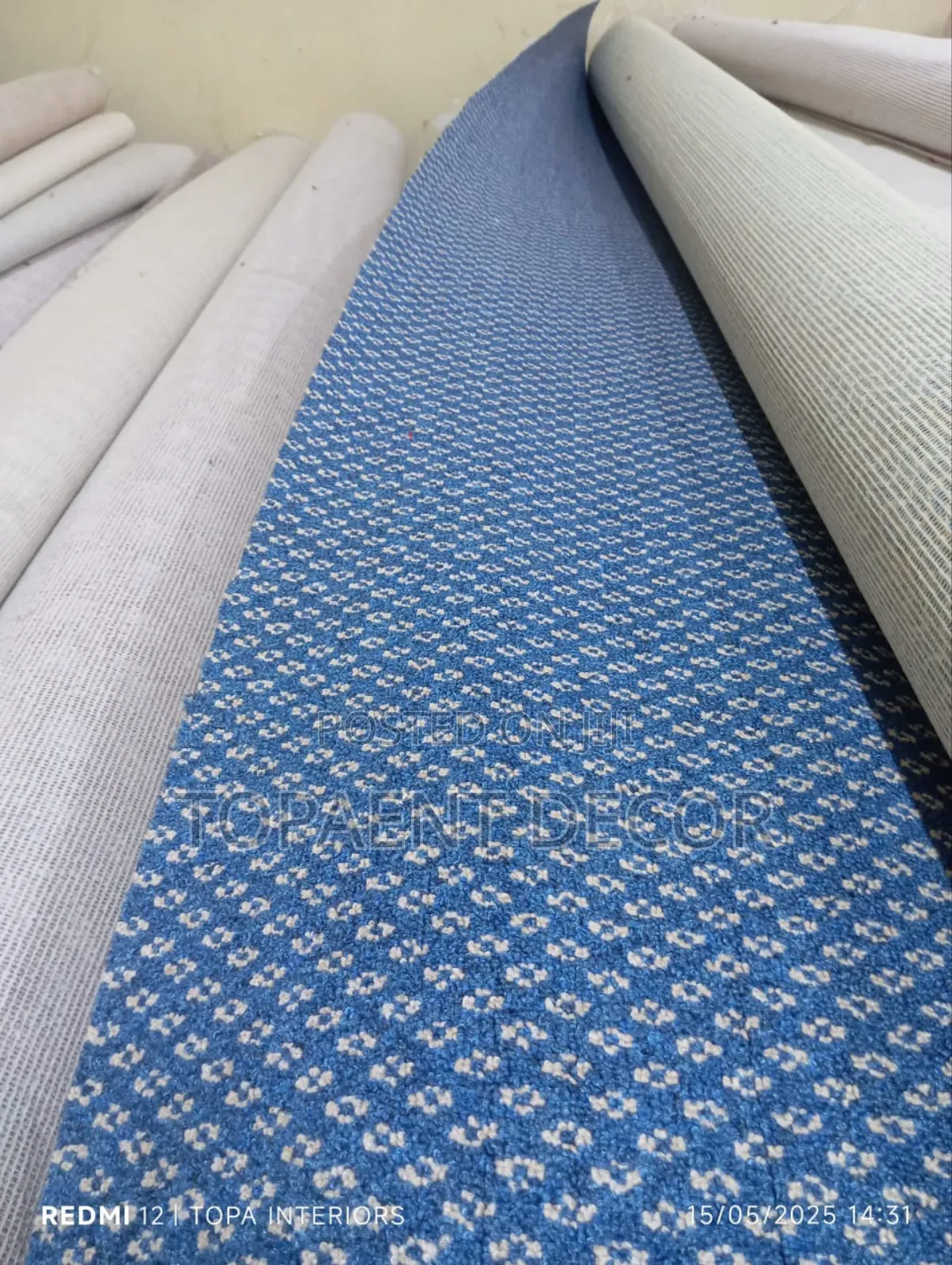 Maasai Mara 5mm Thick Flooring That Feels Like Home Carpet