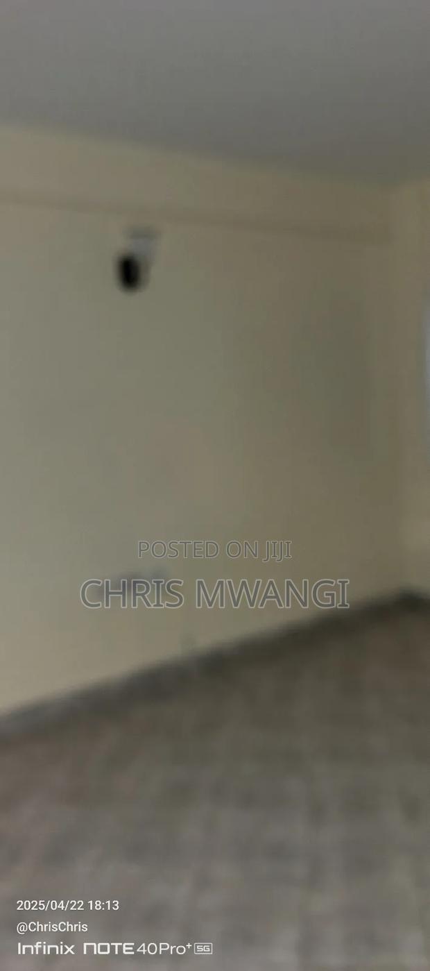 1bdrm Block of Flats in Ruiru Estate, Kwa Kairu for sale - thumbnail 6