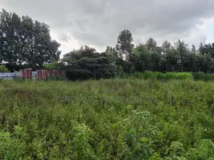 Quarter Acre for Sale in Zambezi Kikuyu Kiambu County.