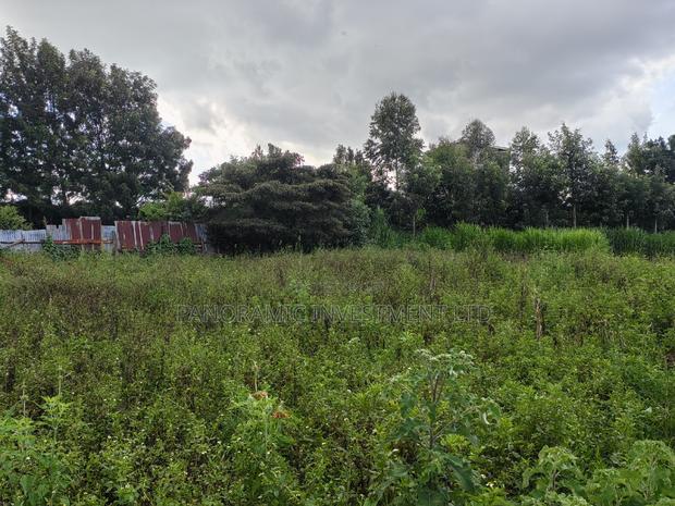 Quarter Acre for Sale in Zambezi Kikuyu Kiambu County.