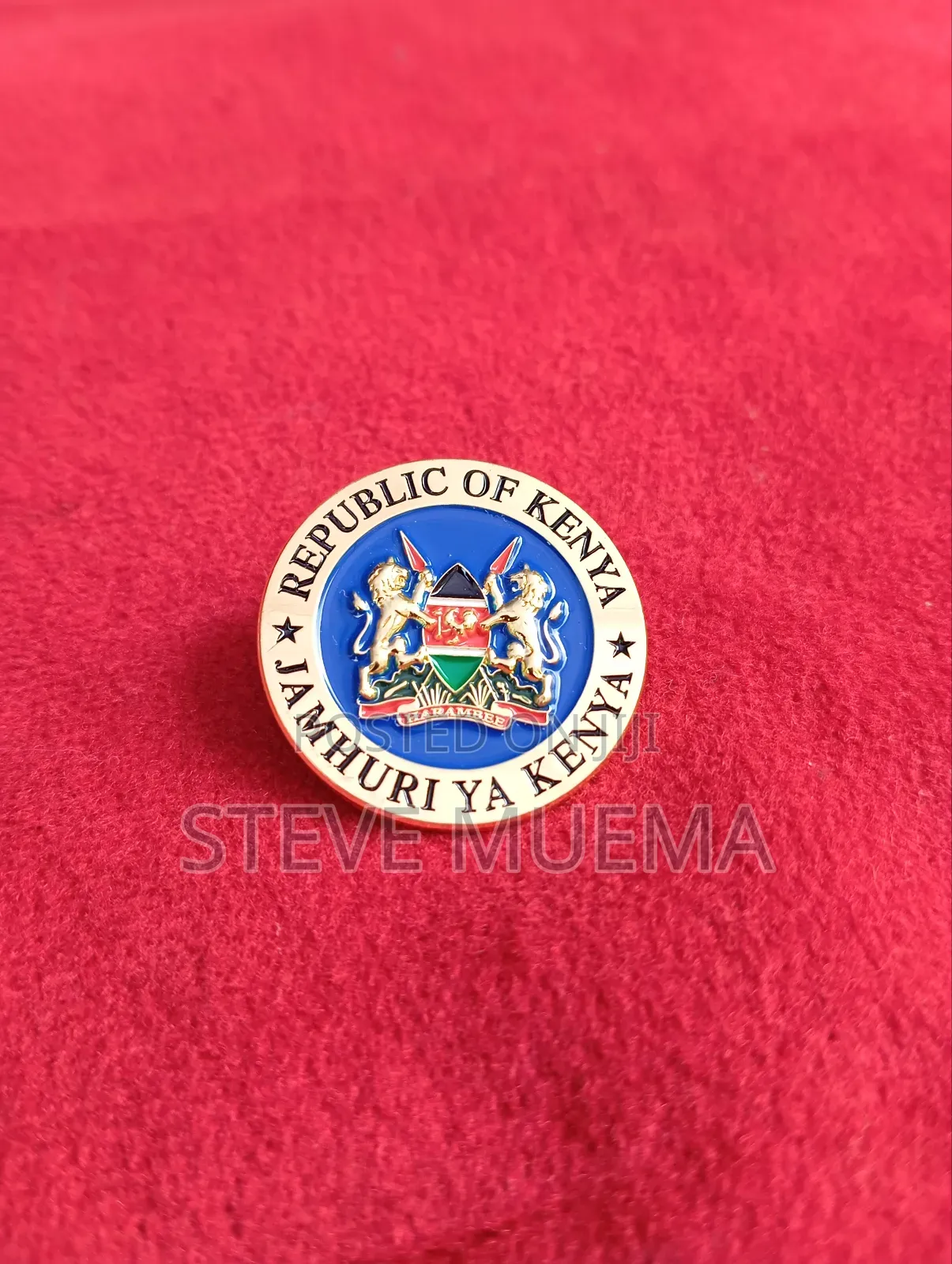 Round Coat of Arms Lapel Pin.