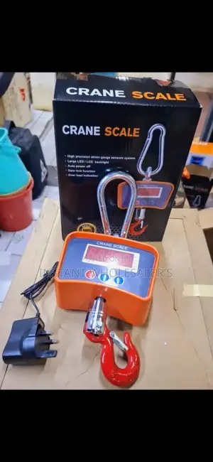500kgs Capacity Crane Scales