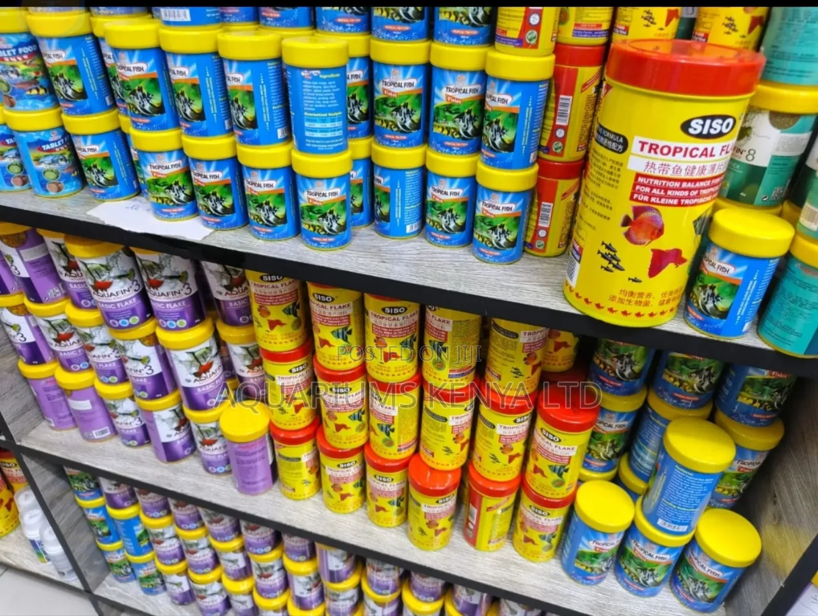 All Sizes and Types of Fish Food at Aquarium Kenya