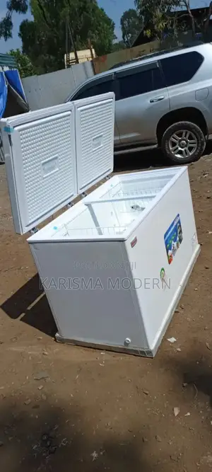 Freezer Point (400 Liters)
