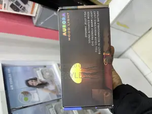 Aurora Mood Light
