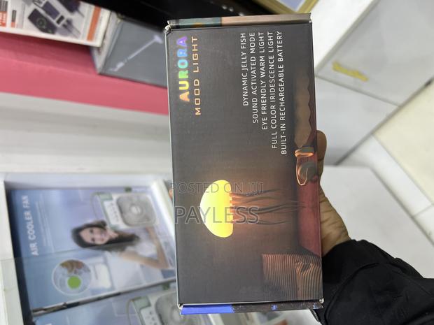 Aurora Mood Light