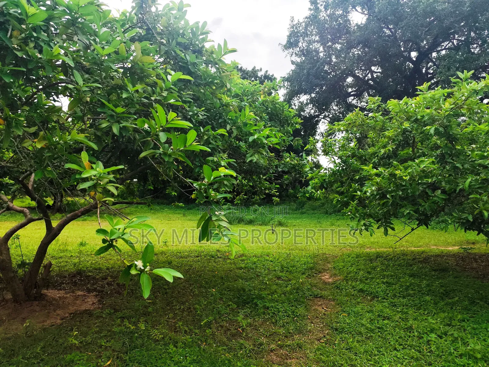 Vipingo, 8 Acres Available for Sale