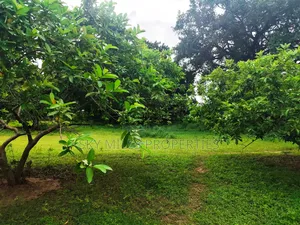 Vipingo, 8 Acres Available for Sale