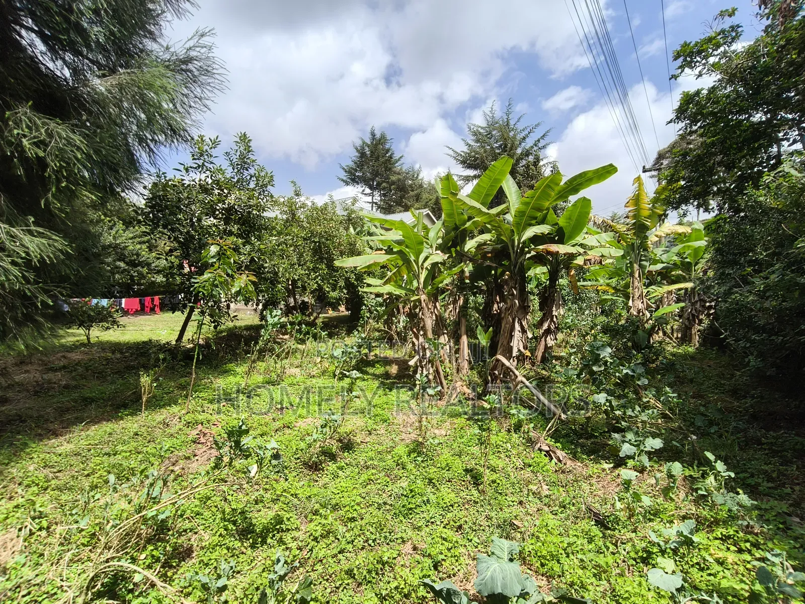 4bdrm Maisonette in Ngong Bondeni for sale