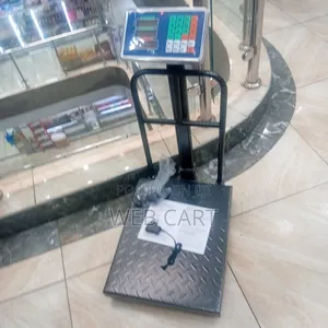 300kg Electronic Weighing Scale Platform